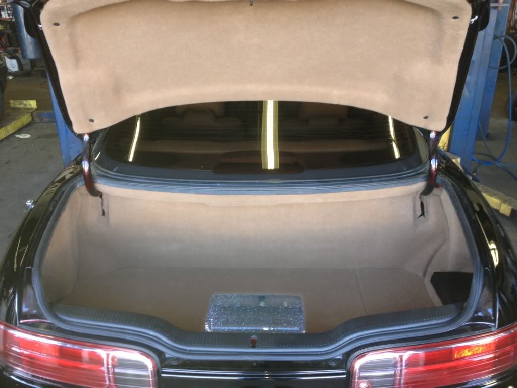 newtrunk1