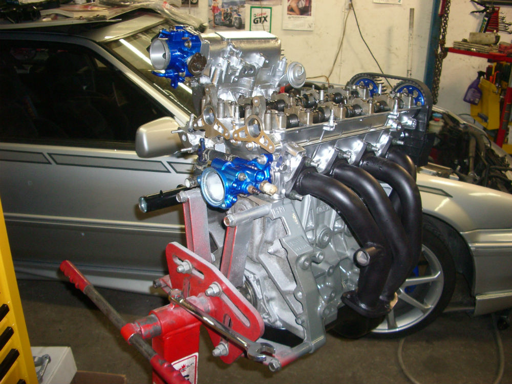 IMGP2965 rsz