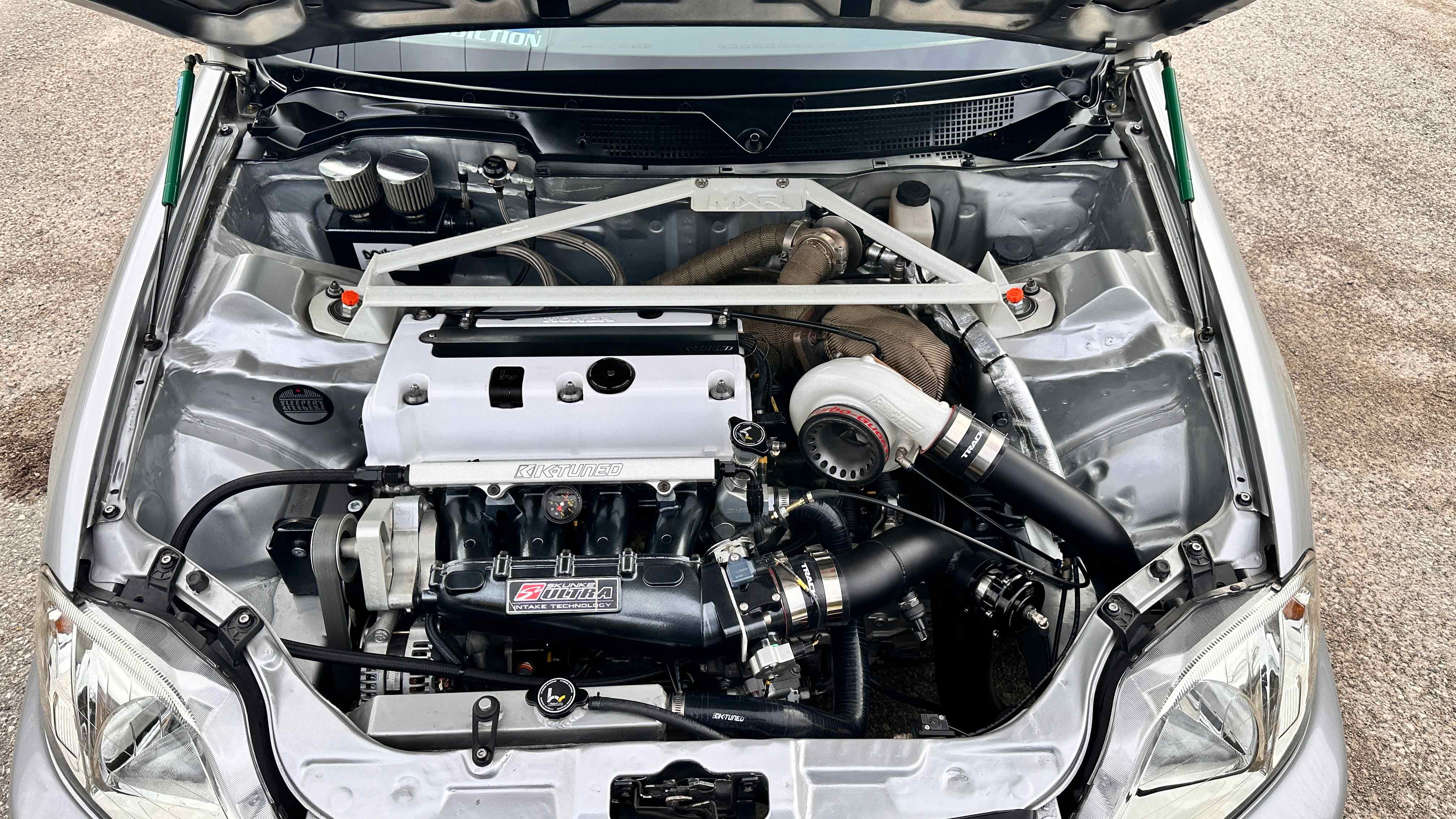 1 Ojarvy Young TBG ImportFest PASMAG