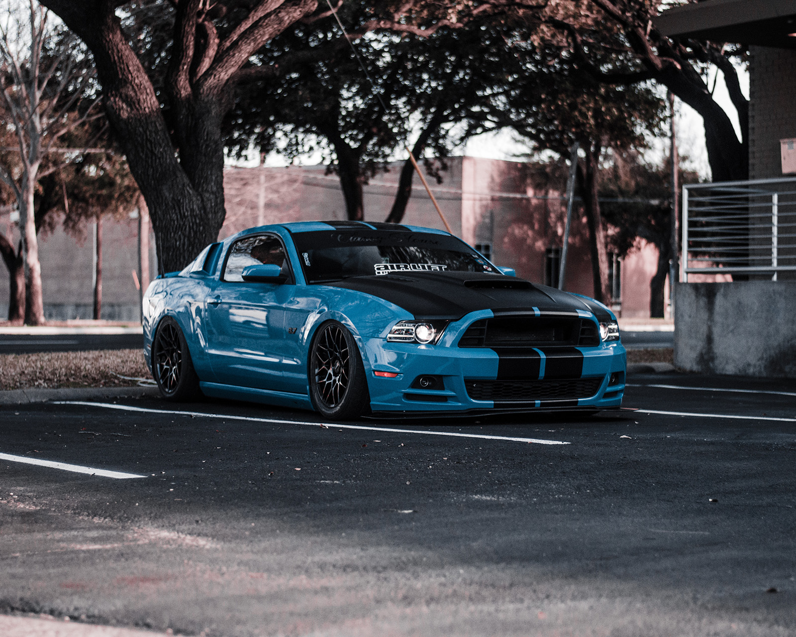 Alex Corrales 2014 Ford Mustang TBGLIVE3