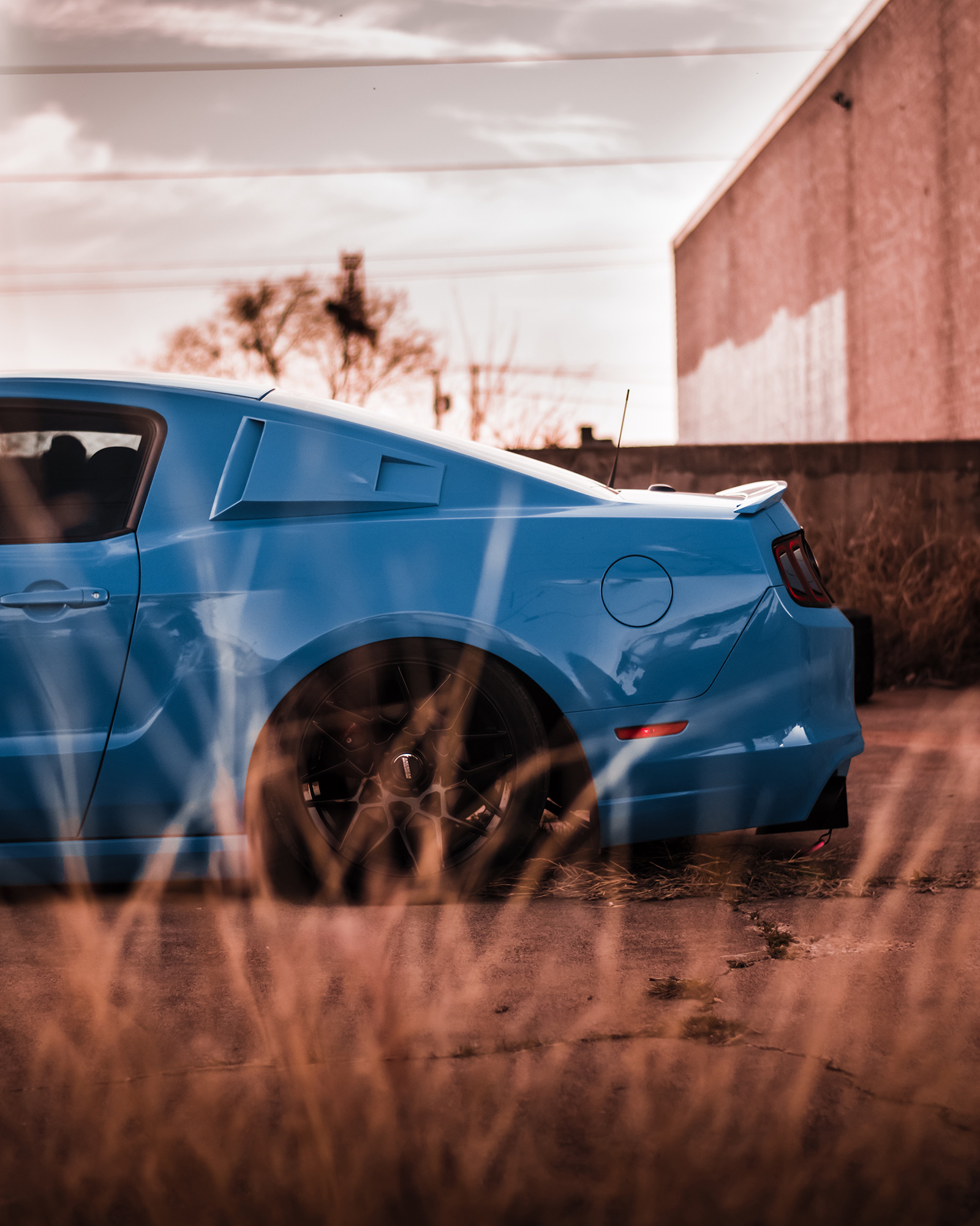 Alex Corrales 2014 Ford Mustang TBGLIVE4