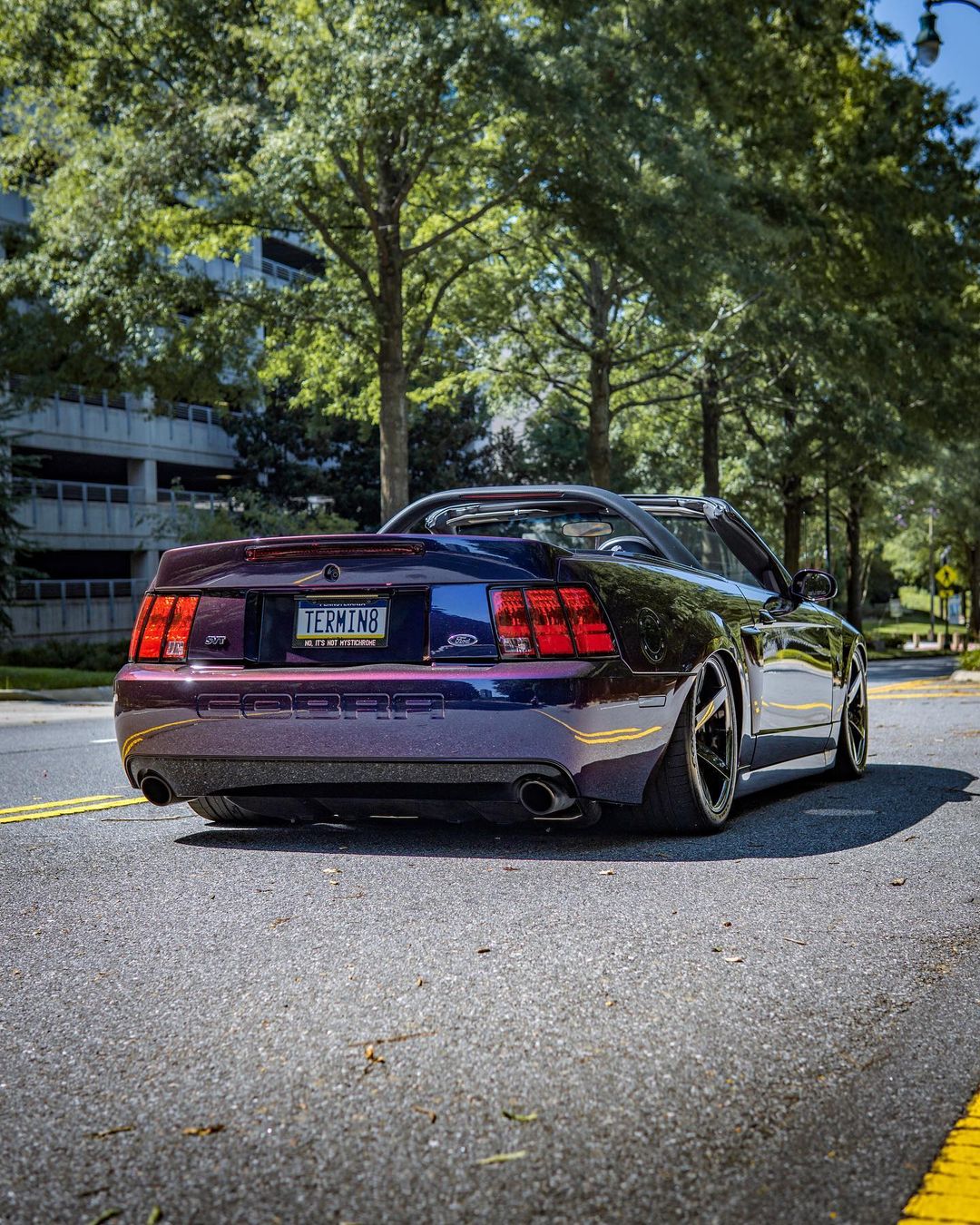 8 Christopher Tress 2003 Ford SVT Mustang Cobra PASMAG Tuning 365