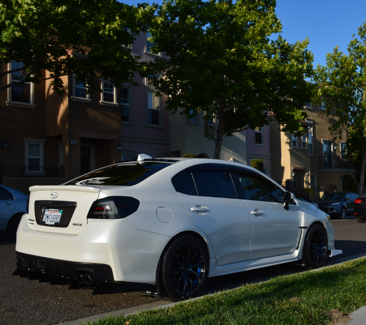 Daniel Baker 2015 Subaru WRX TBGLIVE5