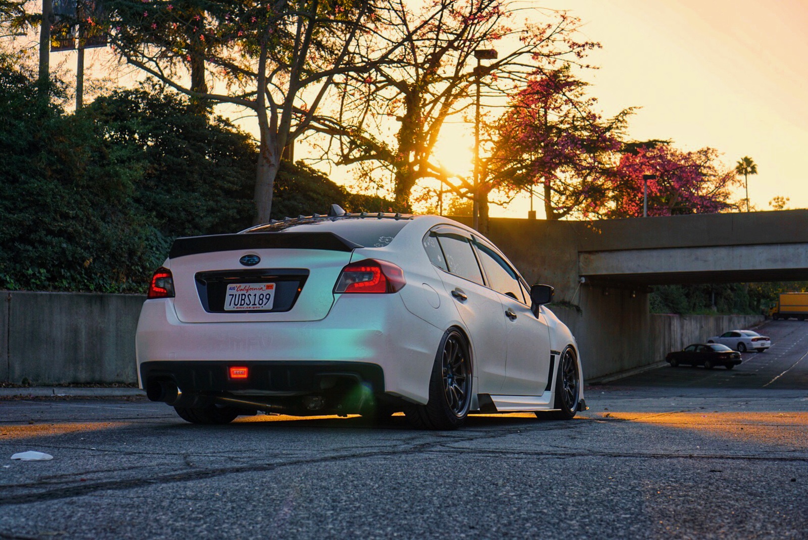 Elisa Banuelos 2017 Subaru WRX TBGLIVE10