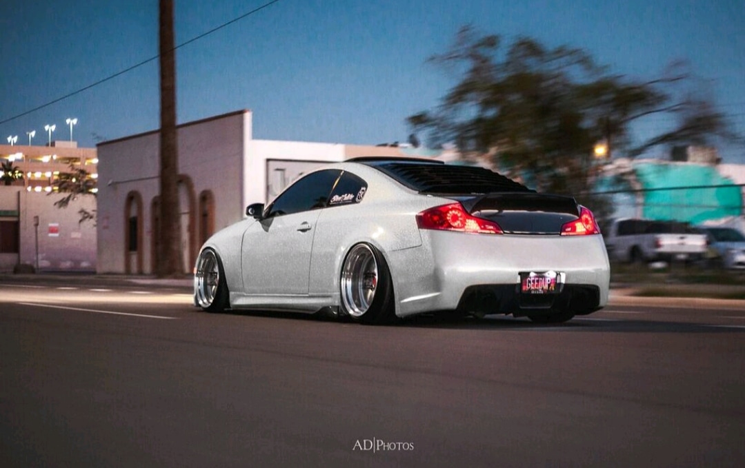 Freddy Castro 2006 Infiniti G35 TBGLIVE5