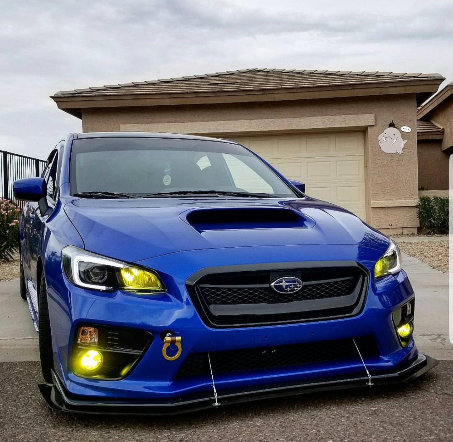 Itzel Navarrete 2017 Subaru WRX TBGLIVE3