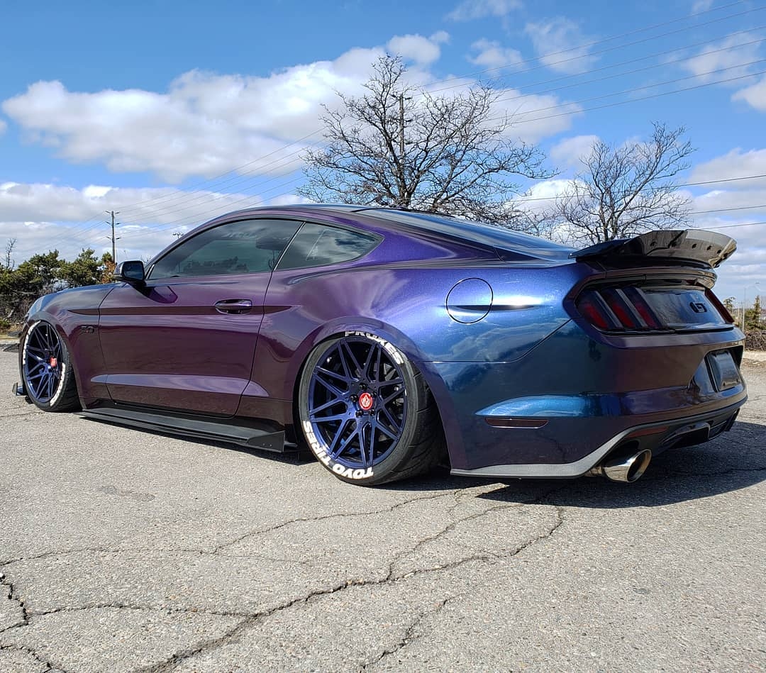 Jazzy Saini 2017 Ford Mustang GT TBGLIVE8