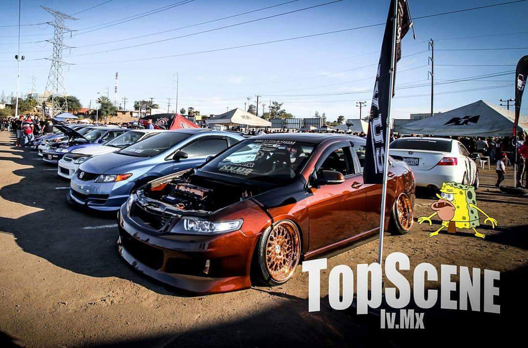 Jesus Sanchez 2005 Acura TSX TBGLIVE9