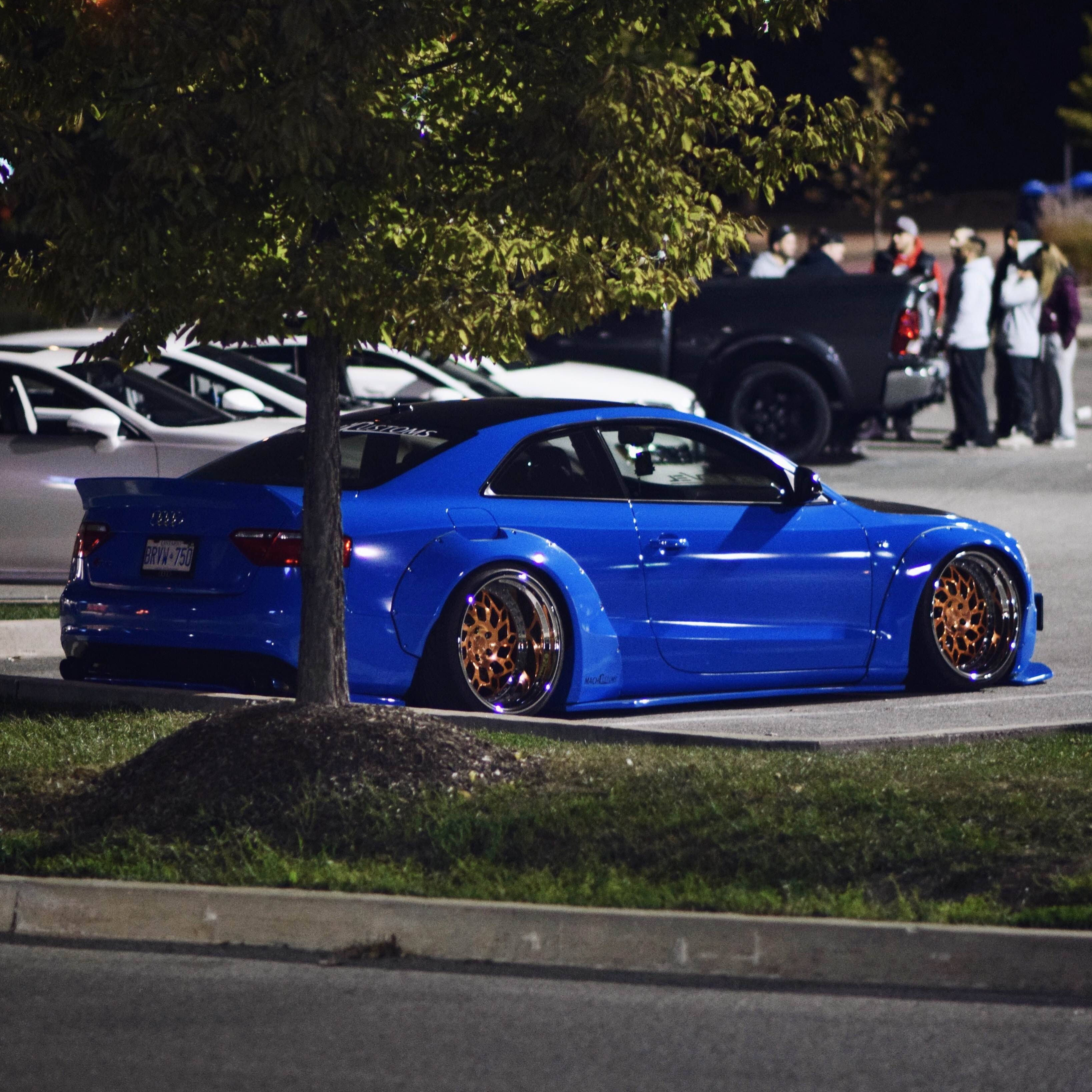 Jose Da Cruz 2009 Audi S5 TBGLIVE10