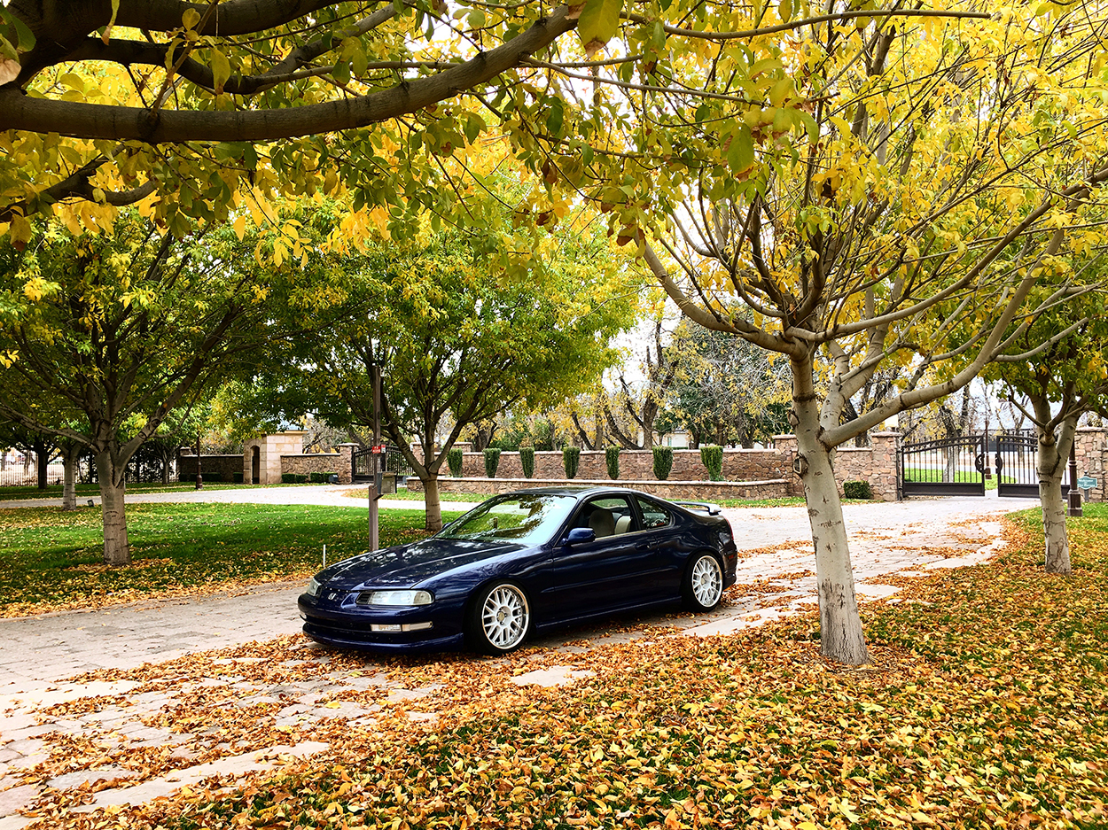 Meeks Campos 1995 Honda Prelude TBGLIVE5