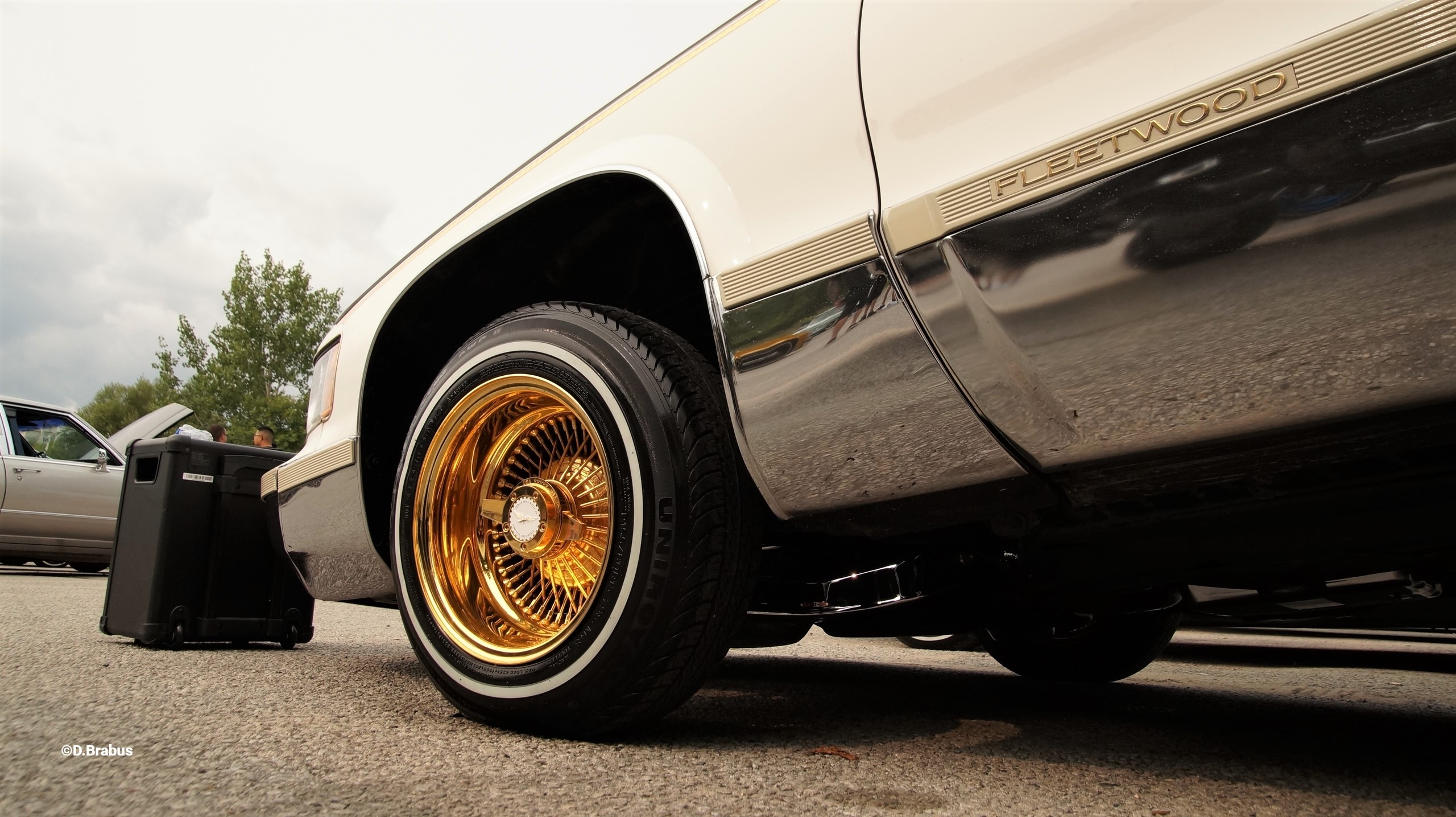 Sebastian Fuchs 1995 Cadillac Fleetwood TBGLIVE6