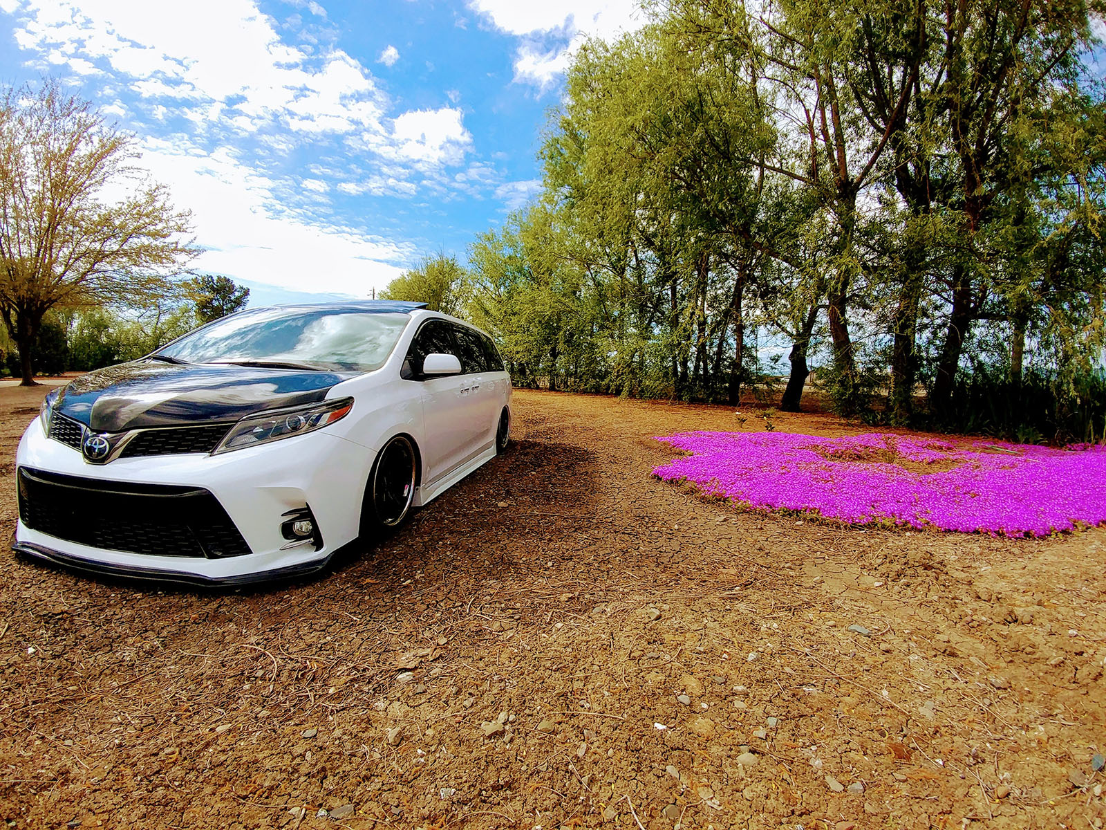 Teri Bixler Cisneros 2016 Toyota Sienna TBGLIVE7
