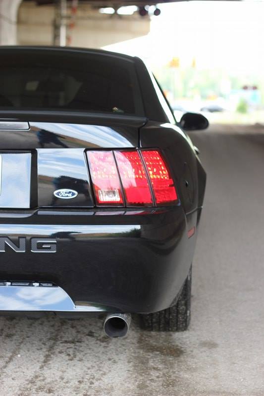 Thomas Osiris 2003 Ford Mustang TBGLIVE 05