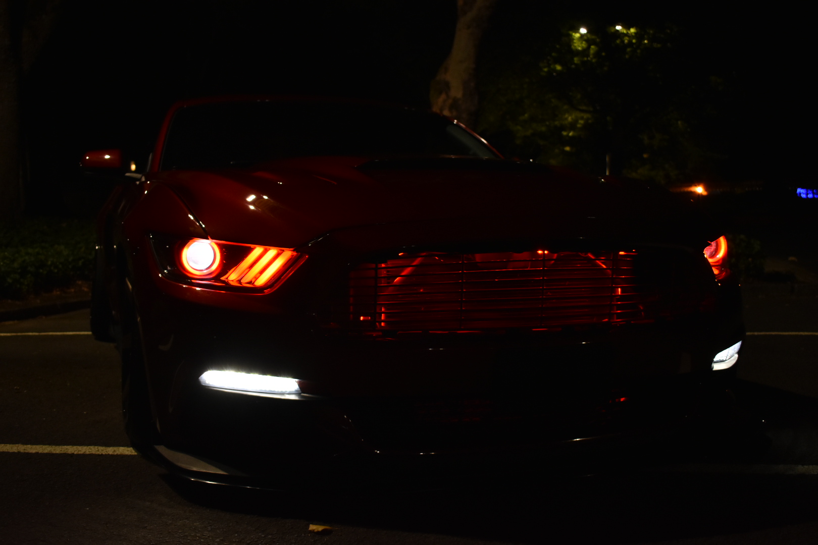Tim OConnor 2015 Ford Mustang GT TBGLIVE1
