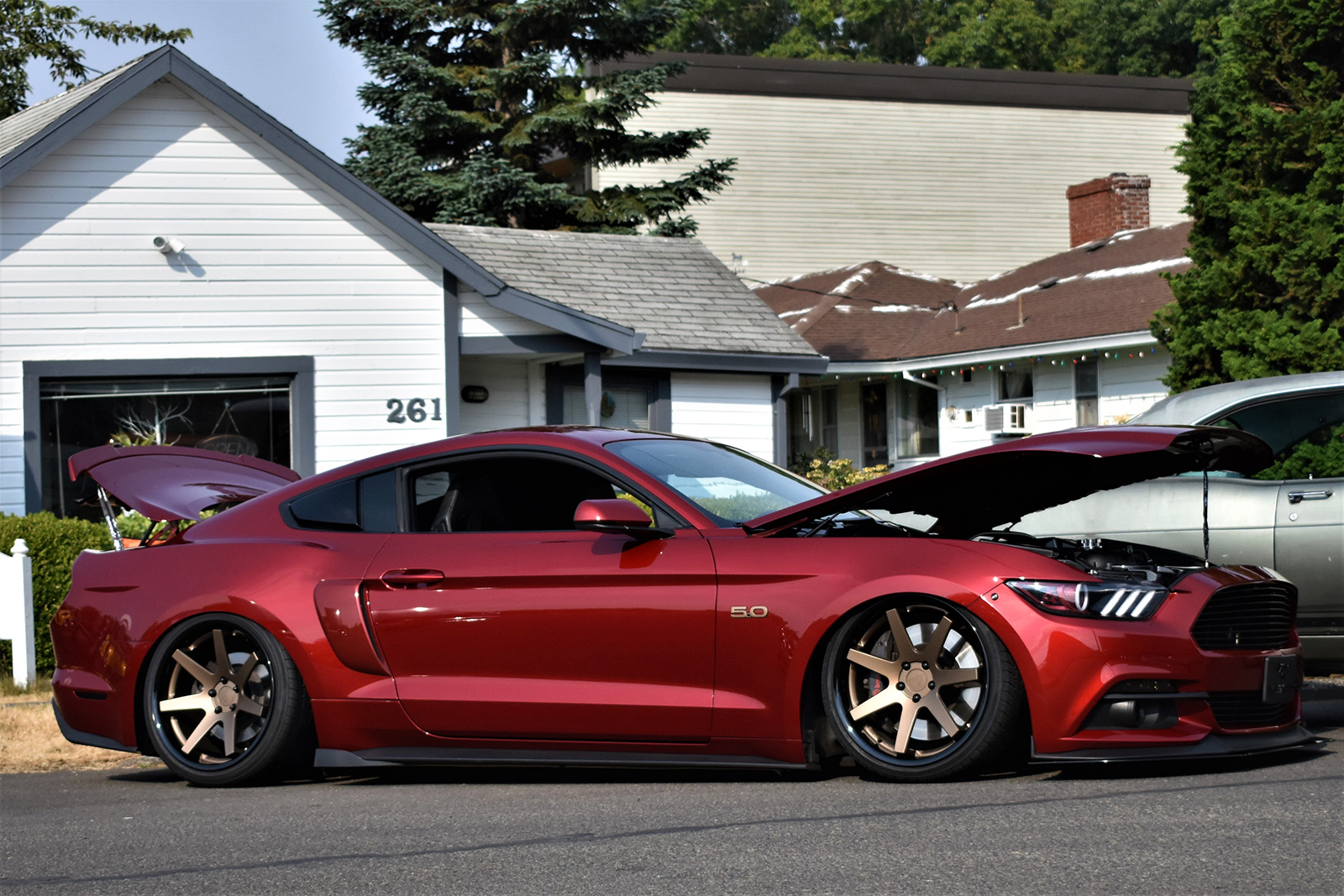 Tim OConnor 2015 Ford Mustang GT TBGLIVE11