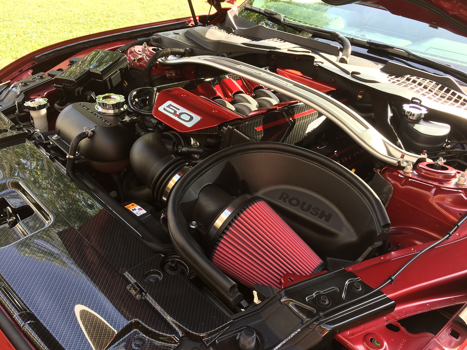 Tim OConnor 2015 Ford Mustang GT TBGLIVE7