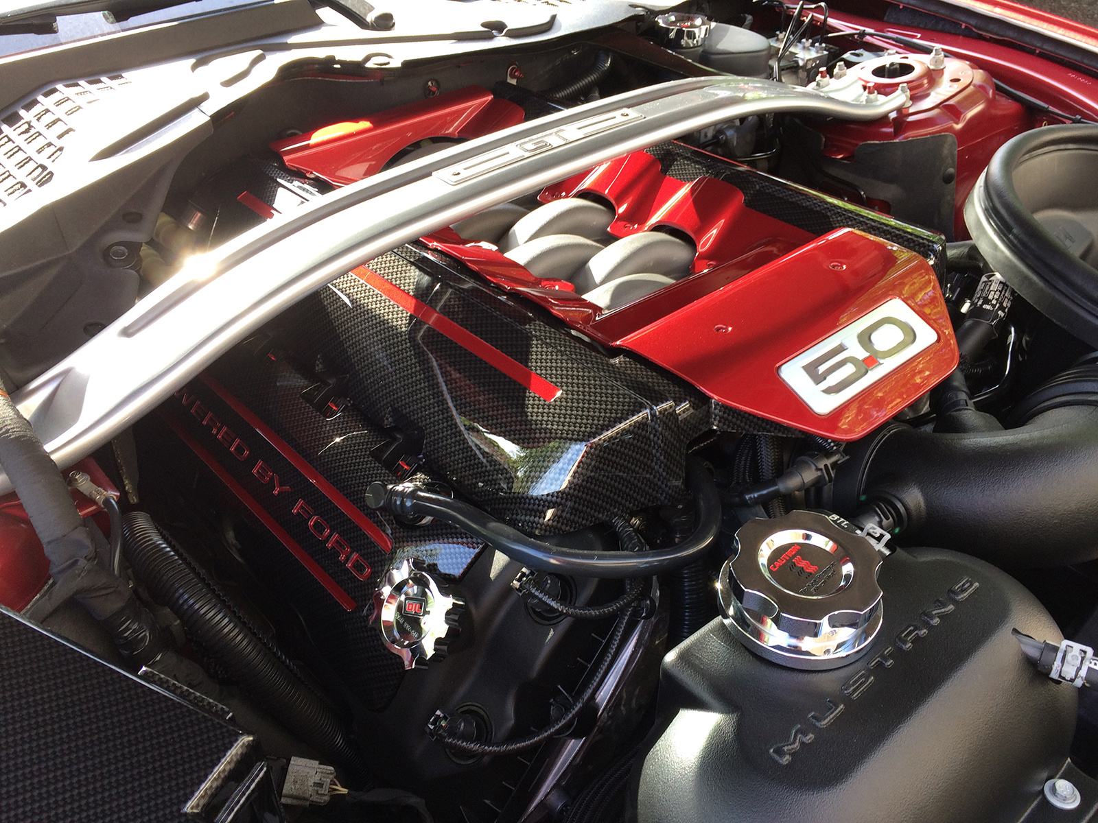 Tim OConnor 2015 Ford Mustang GT TBGLIVE8