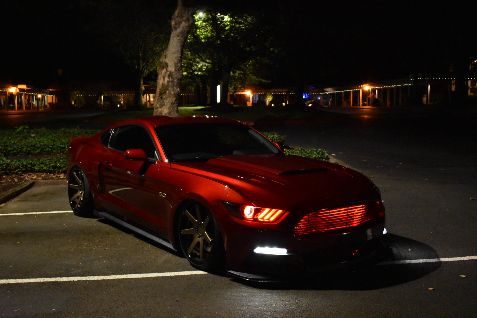 Tim OConnor 2015 Ford Mustang GT TBGLIVE9