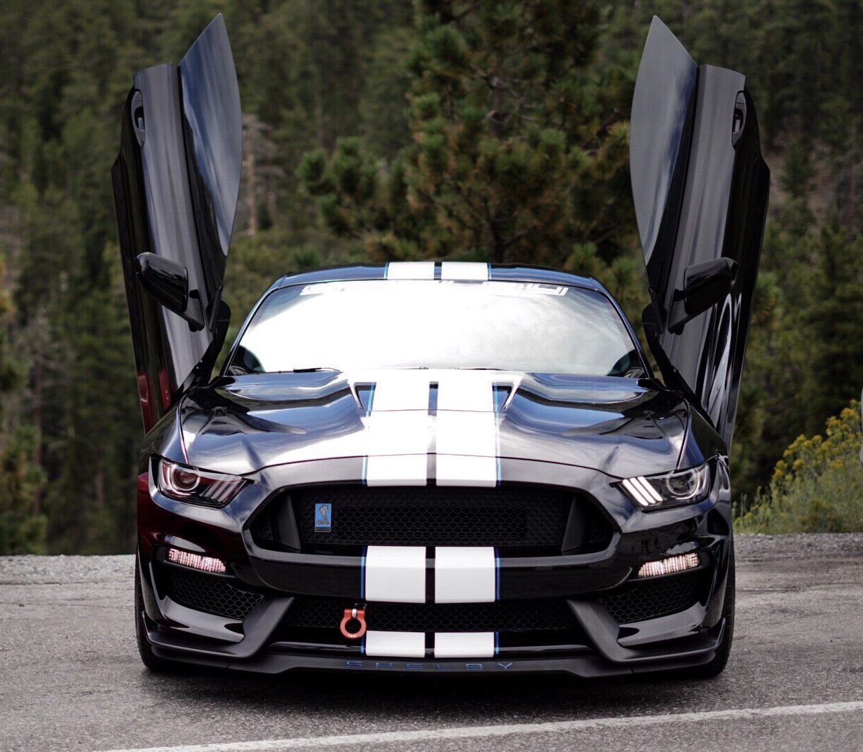 Tim Ricafrente 2017 Ford Mustang Shelby GT350 TBGLIVE1