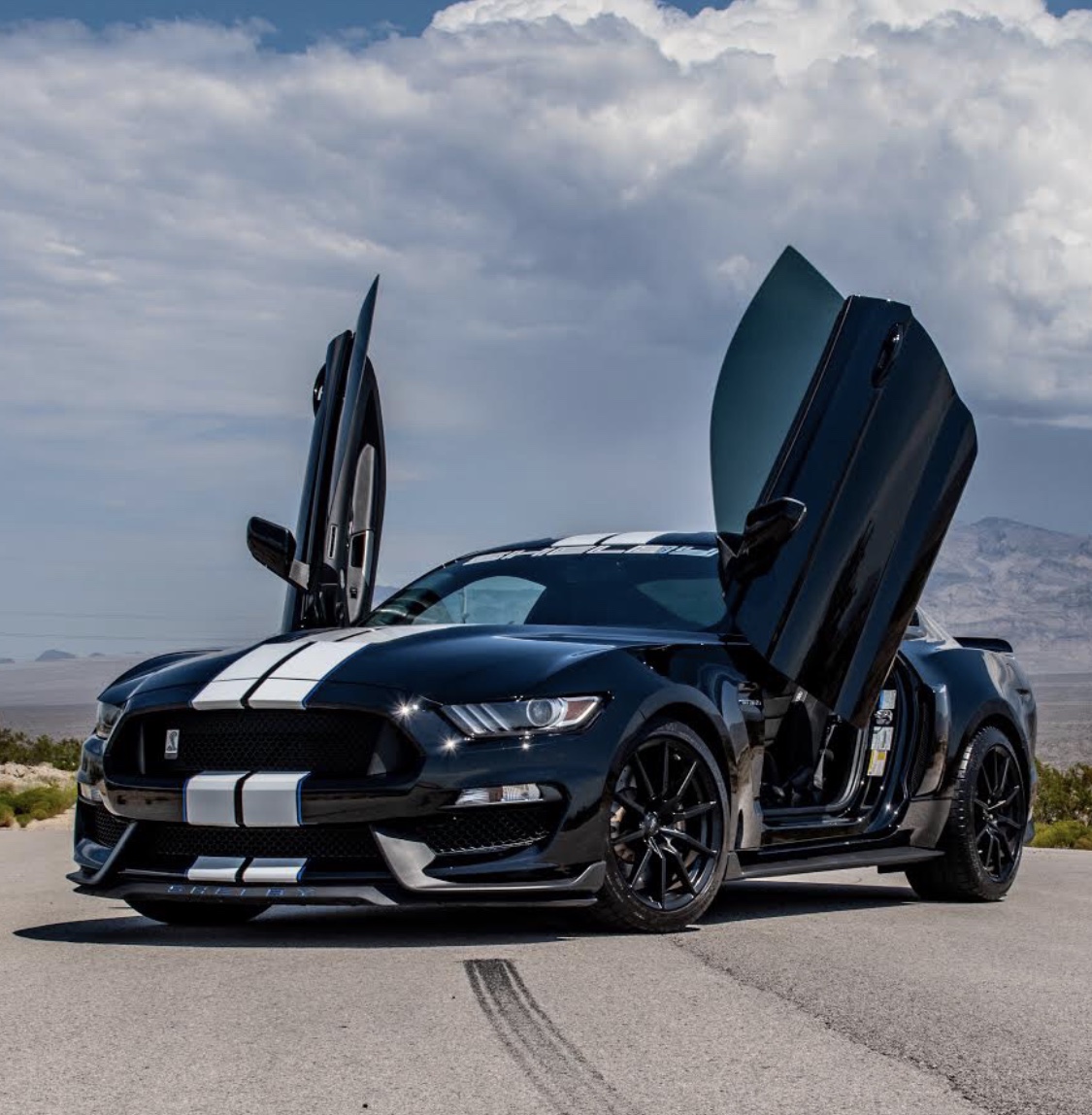Tim Ricafrente 2017 Ford Mustang Shelby GT350 TBGLIVE3